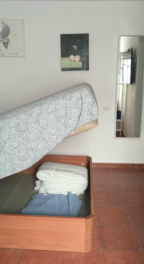Casa Pescado Y Mariposas Daire Arrecife  Dış mekan fotoğraf