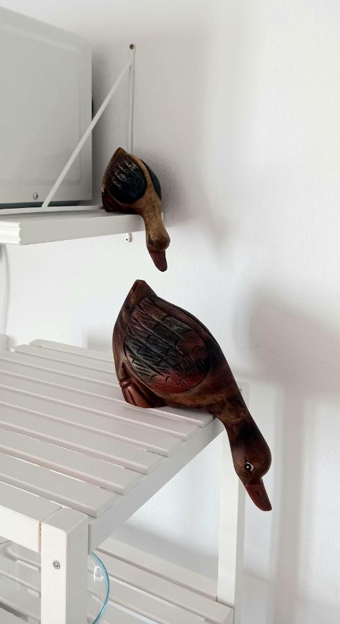 Casa Pescado Y Mariposas Daire Arrecife  Dış mekan fotoğraf